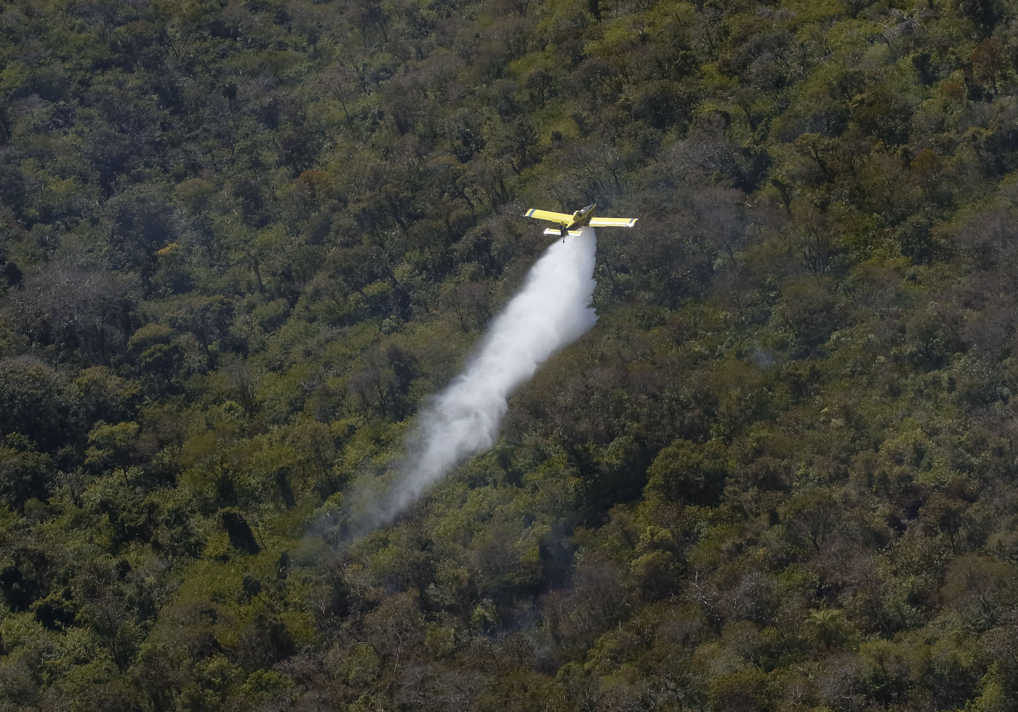 Pantanal: 96% dos incêndios estão extintos ou controlados