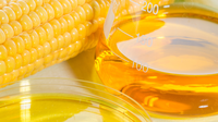 Diversificação de matérias-primas nos biocombustíveis: participação do milho na produção de etanol cresce no Brasil