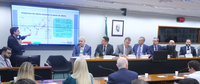 Ministério de Minas e Energia participa de Seminário sobre Fertilizantes na Câmara dos Deputados