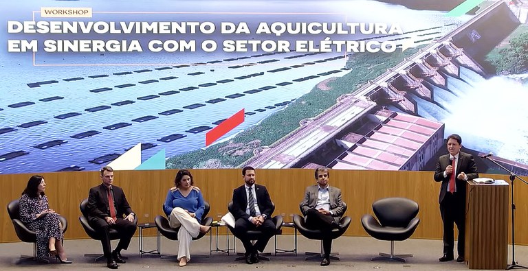 MME e MPA promovem workshop sobre o futuro da aquicultura sustentável em águas da União