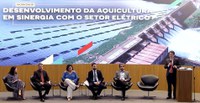 MME e MPA promovem workshop sobre o futuro da aquicultura sustentável em águas da União