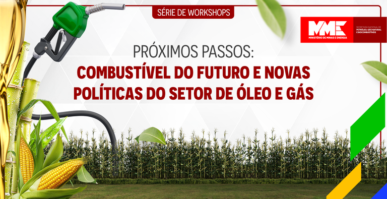 CAPA SÉRIE DE WORKSHOPS SNPGB (1).png