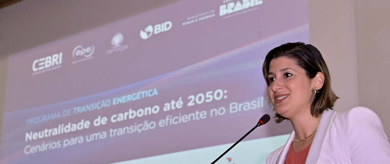 Diretora Mariana Espécie no evento - CEBRI.png