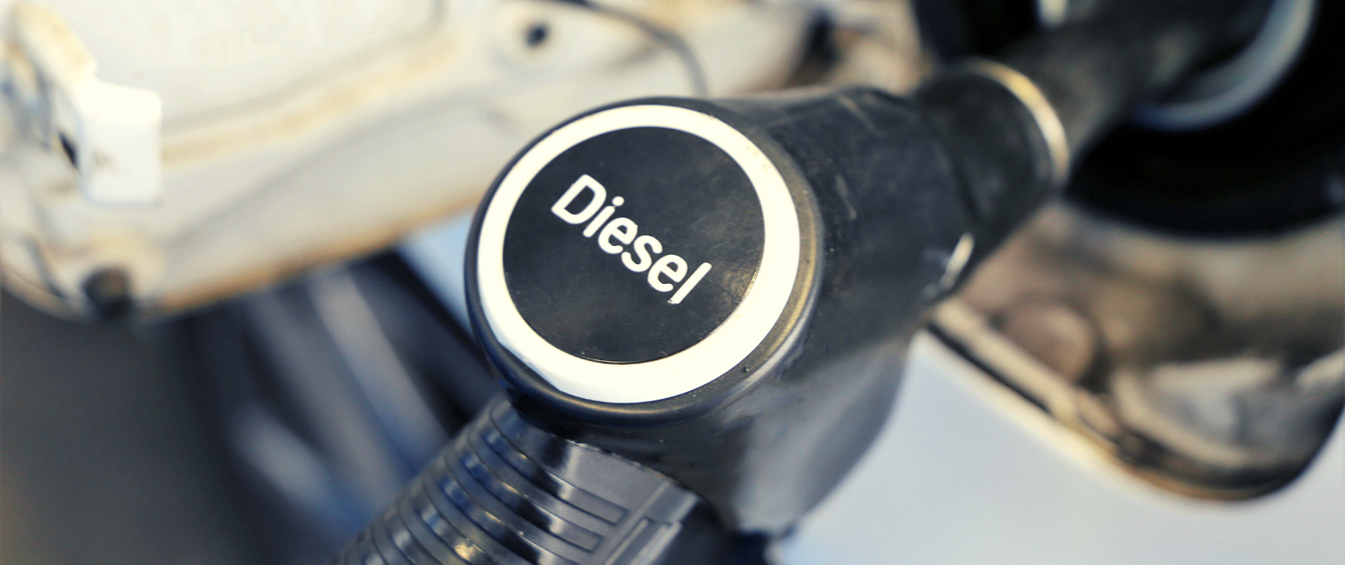 Diesel - Bra