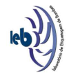 LEB.png