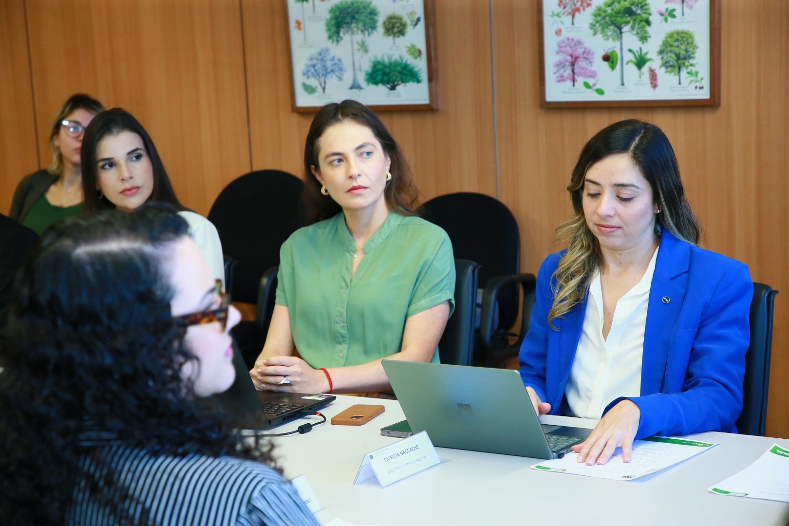 17ª Reunião Coges-PNH2 (1).jpeg