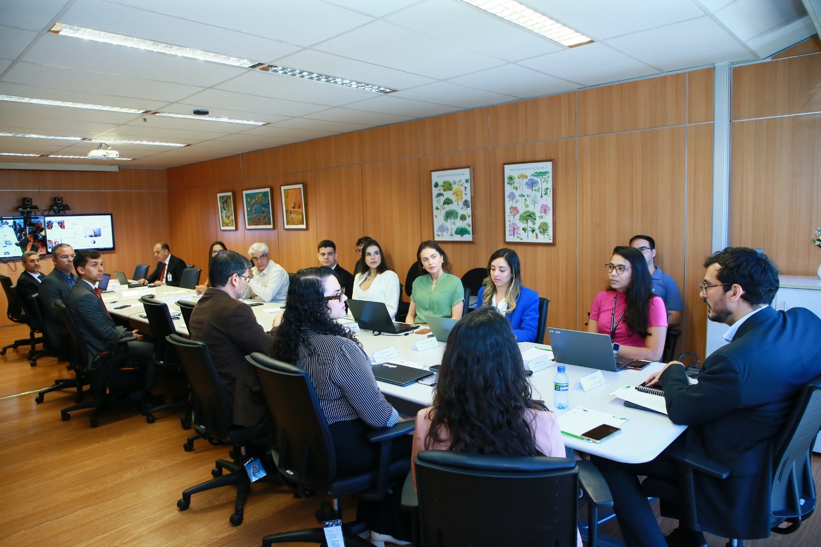 17ª Reunião Coges-PNH2 (3).jpeg