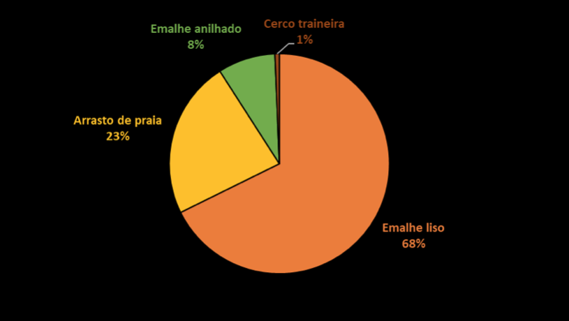 Modalidades de Pesca SC