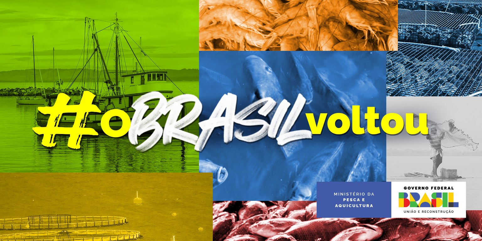 card 100 dias Pesca - #oBrasilvoltouCapa twitter 1536x768.png