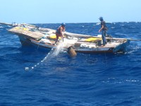 CNPq e Ministério da Pesca e Aquicultura lançam chamada para projetos de “Ordenamento da Pesca Marinha Brasileira”