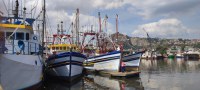 Ministério da Pesca e Aquicultura atualiza normas higiênico-sanitárias para embarcações de pesca