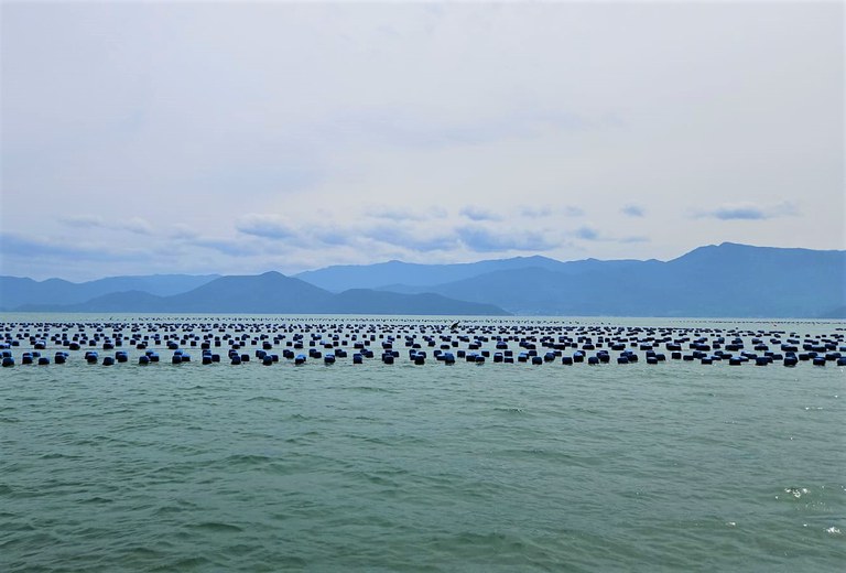 Ministério da Pesca e Aquicultura promove o reordenamento e fiscalizações de parques aquícolas em Santa Catarina