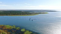 MPA Libera Produção de Pescado nos Reservatórios de Furnas e Ilha Solteira