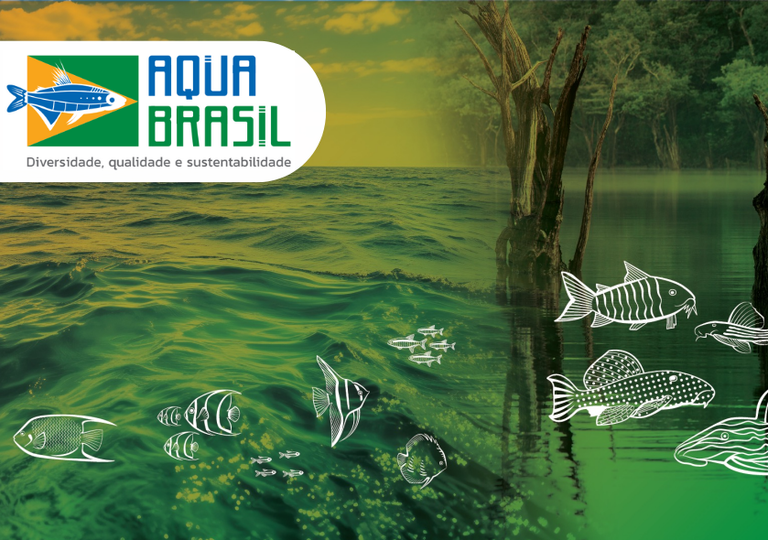 Projeto que fomenta a aquariofilia no Brasil oferece tarde de capacitação e troca de conhecimento