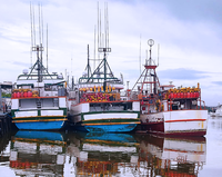 Publicado o calendário para Certificação Oficial de Boas Práticas Higiênico-Sanitárias em Embarcações de pesca para exportação de pescado
