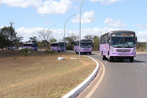 Veículos serão entregues pela ministra Eleonora, configurando a doação de 12 dos 54 ônibus