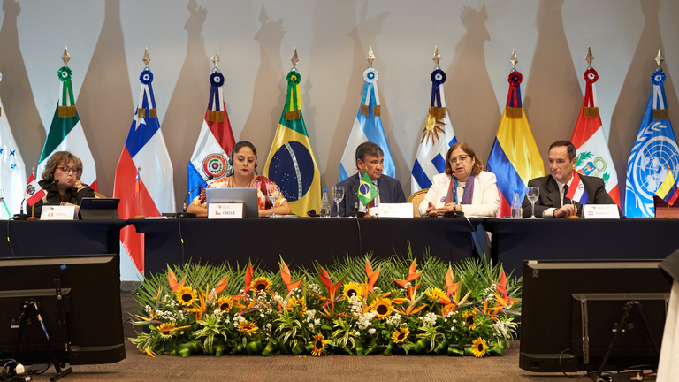 Seminário do Mercosul sobre Políticas e Sistemas de Cuidados