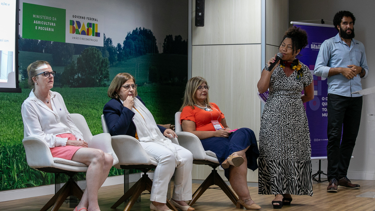 1° Encontro Nacional de Conselheiras Estaduais de Direitos da Mulher