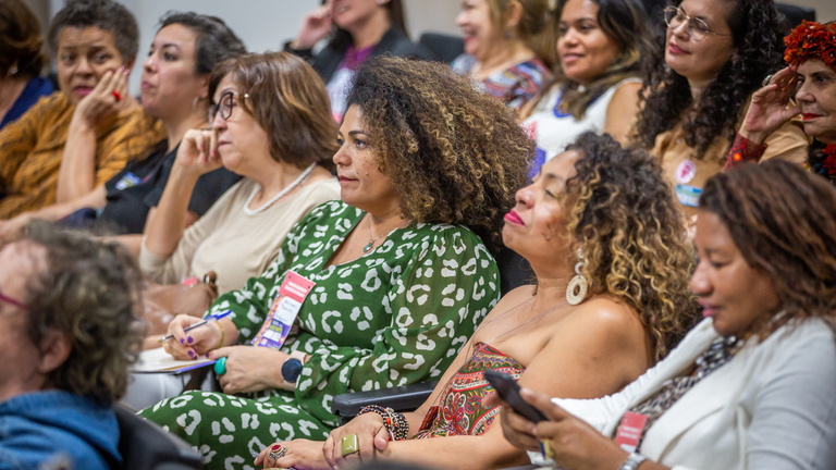 1° Encontro Nacional de Conselheiras Estaduais de Direitos da Mulher