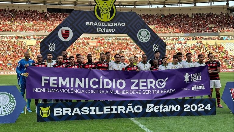 Flamengo e Palmeiras