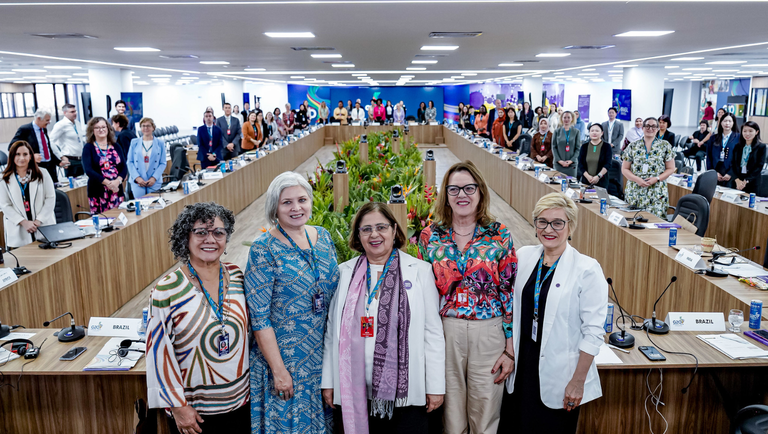 4ª Reunião Técnica do Grupo de Trabalho de Empoderamento de Mulheres do G20