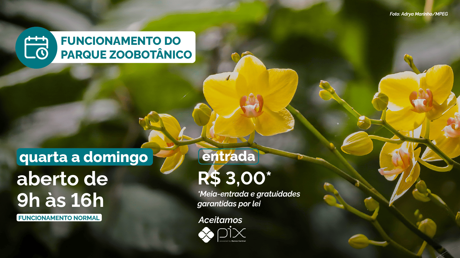 Funcionamento do parque: quarta a domingo, de 9h às 16h. Entrada 3 reais. Aceitamos pix.
