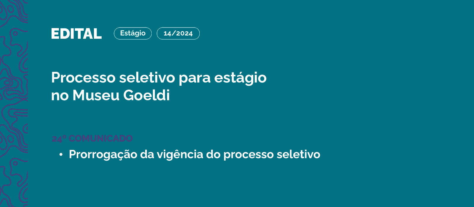 Processo Seletivo 14/2024 - 24º Comunicado