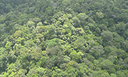 A área mais ameaçada da Amazônia brasileira