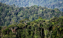 Amazônia, ciência e preservação na Semana do Meio Ambiente no Museu Goeldi