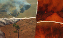 Artigo explora a complexidade das dinâmicas do fogo no Brasil