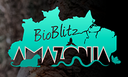 BioBlitz: uma expedição pela biodiversidade urbana
