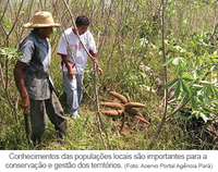 Cientistas defendem criação de territórios sustentáveis para zerar o desmatamento na Amazônia