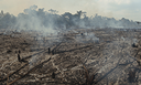 Desmatamento e mudanças climáticas podem dividir a Amazônia em duas