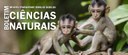 Edição especial: “Um giro pela mastozoologia nas Américas”. Envio de trabalhos até 30/11.