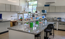 Goeldi amplia Laboratório de Biologia Molecular