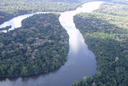 III Simpósio da Biota Amazônica atualiza rumos do saber sobre a região
