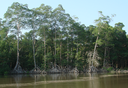 Litoral amazônico já tem mapa de riscos de derramamento de óleo