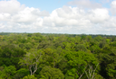 Mudanças climáticas na Amazônia são tema de seminário internacional