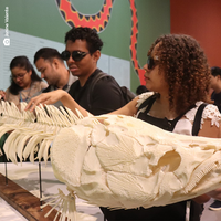 Museu Goeldi na 18ª Primavera dos Museus