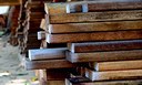 Museu Goeldi recebe doação de madeira do Ibama