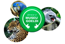 Nos 400 anos de Belém, Fafá de Belém visita Parque Zoobotânico e reforça campanha ‘Abrace o Museu Goeldi’