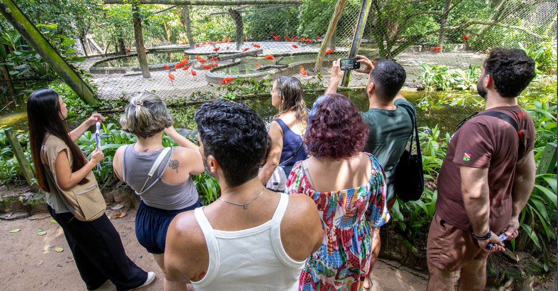 Sete pessoas observam um recinto de guarás. Uma moça usa colete e explica algo sobre os animais, enquanto o público registra a cena em foto.