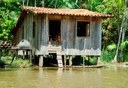 Povos ribeirinhos da Amazônia em foco
