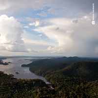 Quatro países integram a nova Rede Amazônica de Pesquisa e Inovação em Biodiversidade