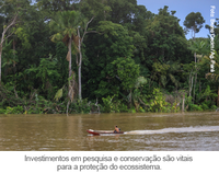 Segundo ciclo de debates sobre o desenvolvimento sustentável da Foz do Amazonas