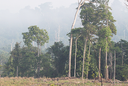 Simpósio Amazônia Sustentável propõem diálogo entre ciência e sociedade