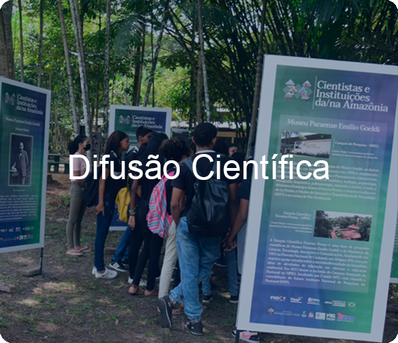 difusão