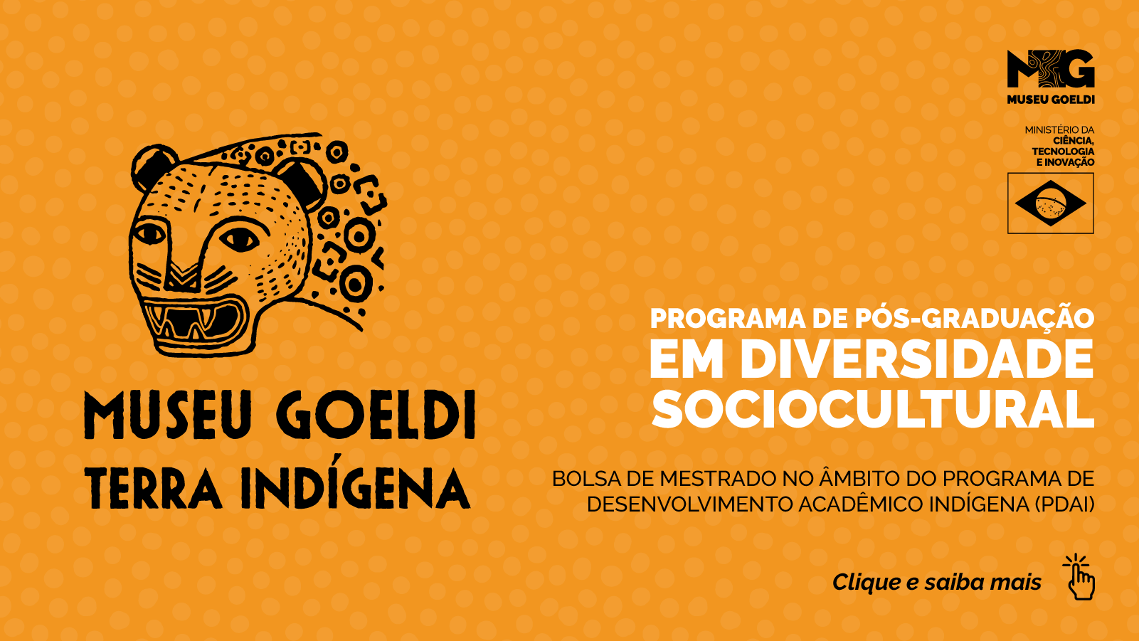 www.gov.br/capes/pt-br/acesso-a-informacao/acoes-e-programas/bolsas/programas-estrategicos/desenvolvimento-regional/programa-de-desenvolvimento-academico-indigena-pdai