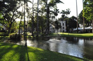 Jardins do Museu da República.jpg