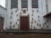Fachada do Mart em Cabo Frio recebe intervenção artística Formigas